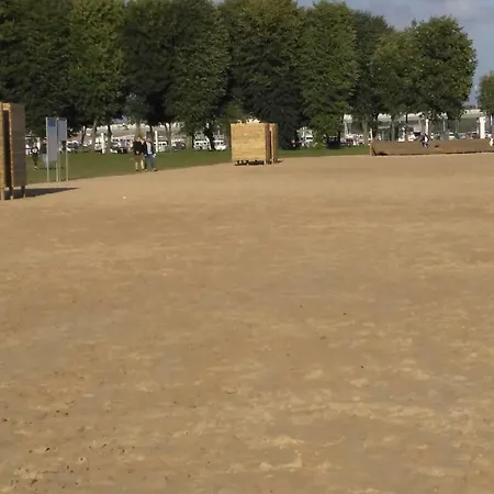 Mazurska Dama - Słoneczny *