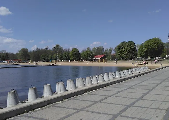 Mazurska Dama - Słoneczny